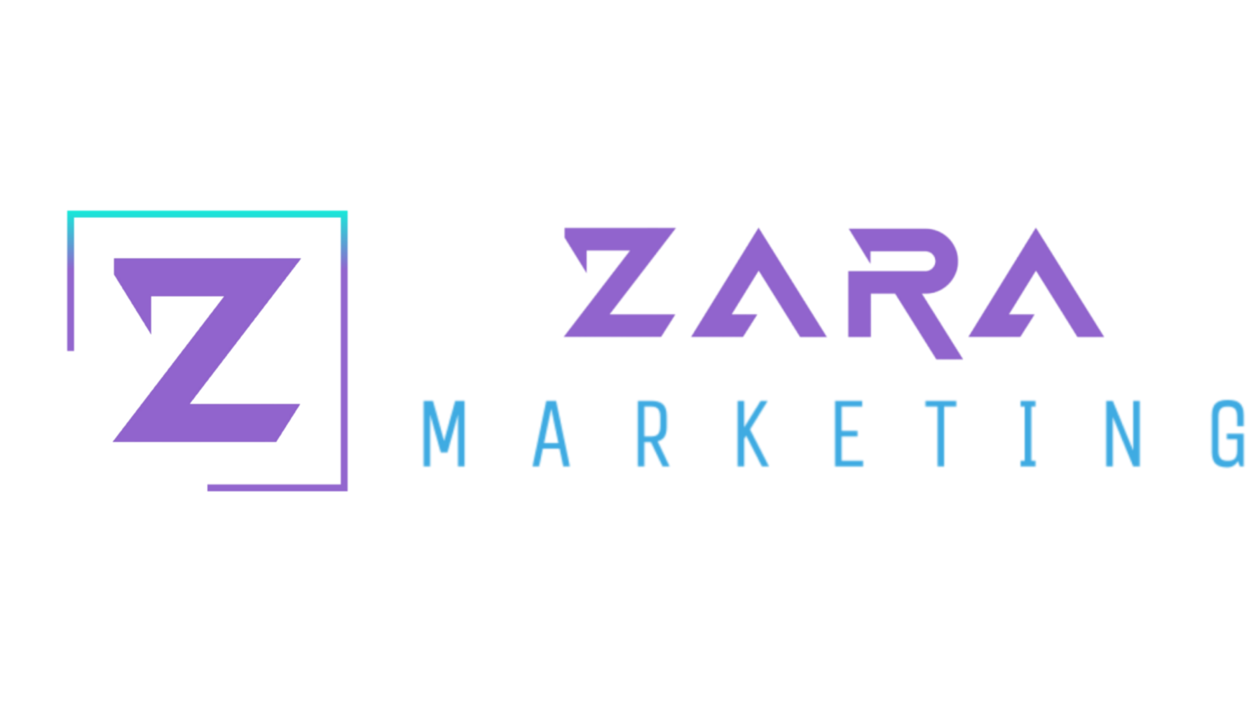 Zara Marketing Landscape